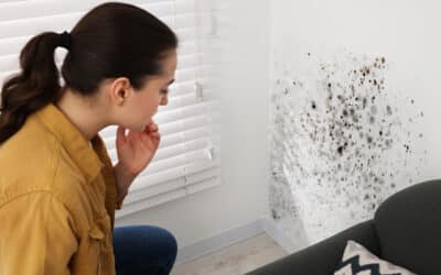 How Can I Tell if Mold in My Home Is Affecting My Allergies?